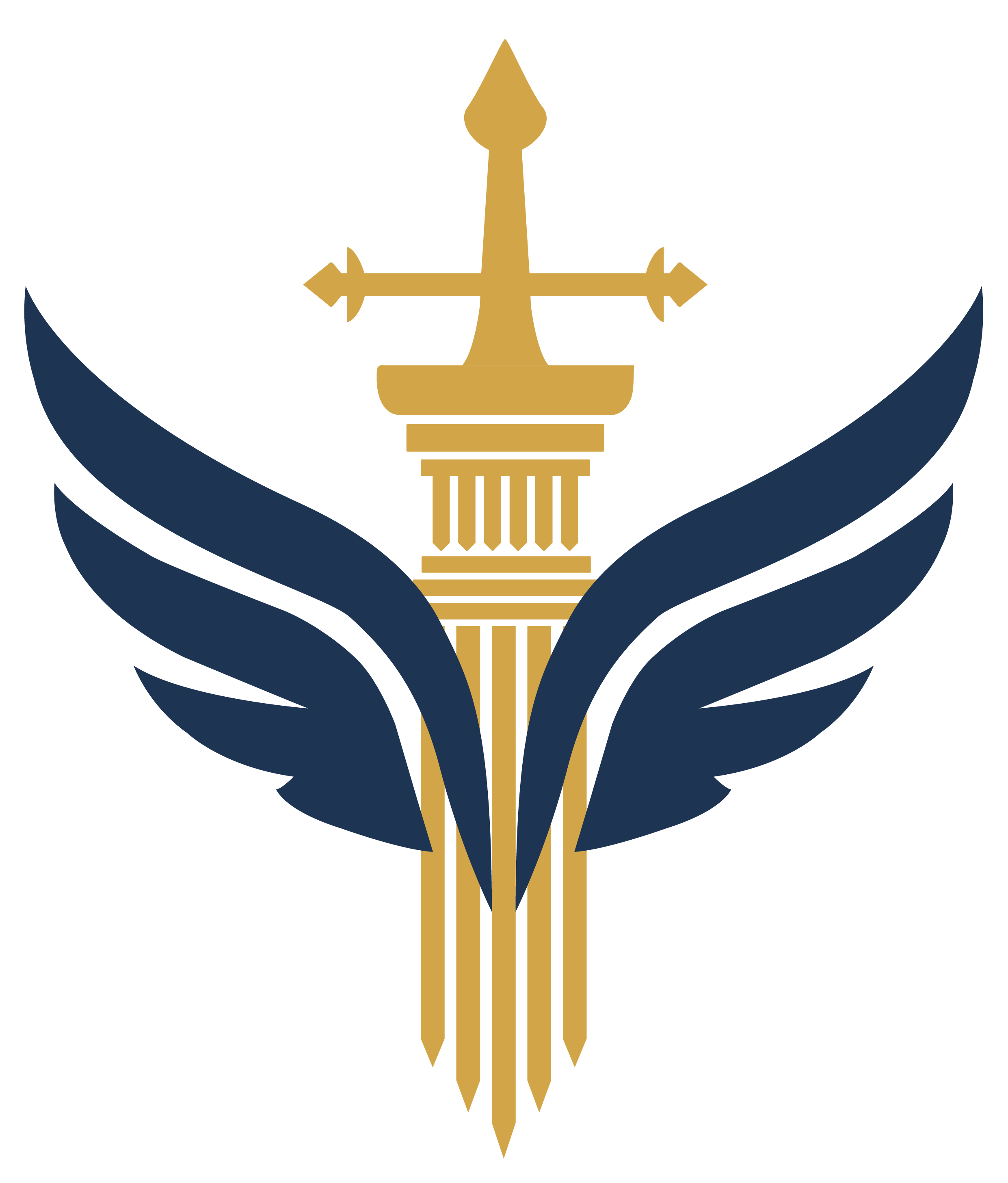 Icono institucional